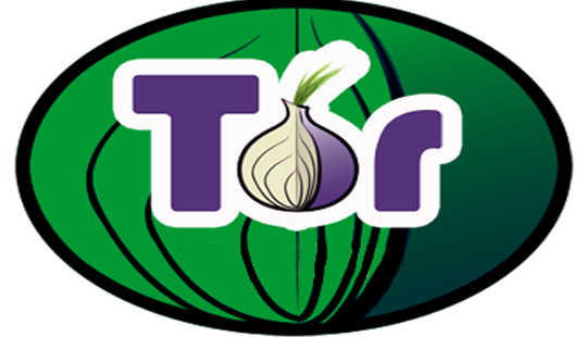 Securing Web Browsing: Protecting The Tor Network