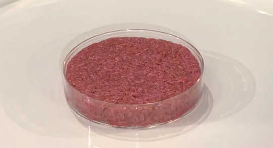 Would You Eat Cultured Meat From A Lab? 