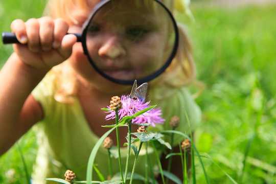 How To Discover The Wildlife Wonders Of Your Own Garden